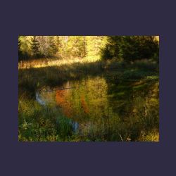 2012-10-20_Fall_AQUILA (115).JPG